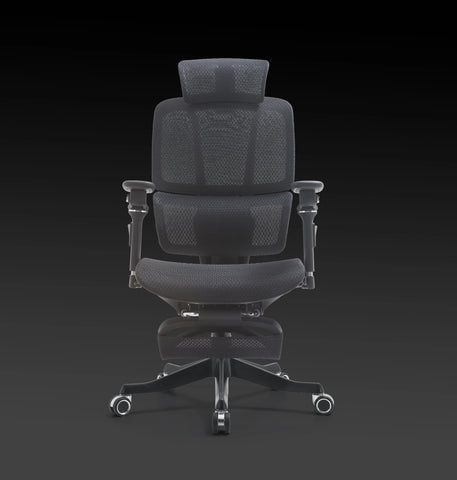 ERGOXCEL -  Intelligence in Comfort